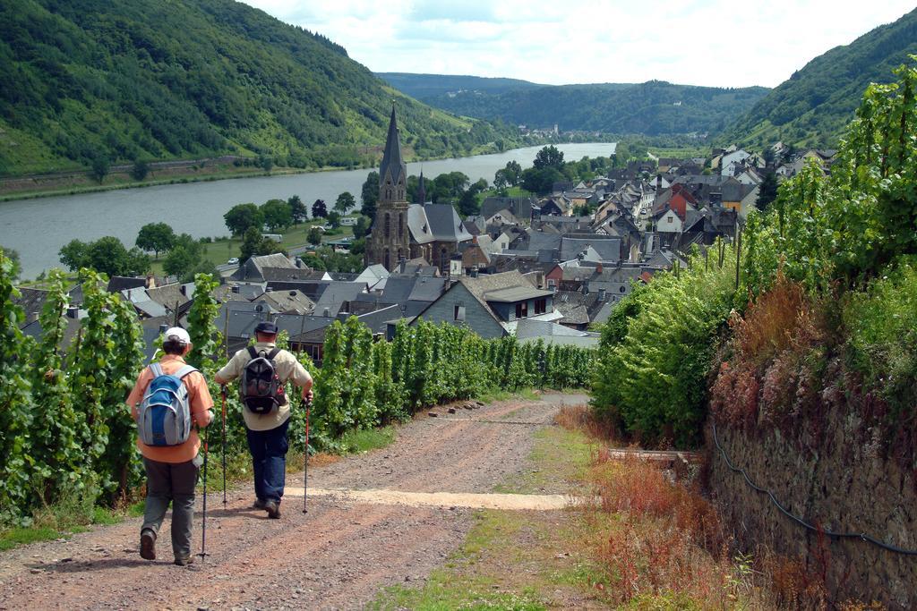 Wein- Und Gaestehaus St. Aldegundishof Sankt Aldegund Kültér fotó