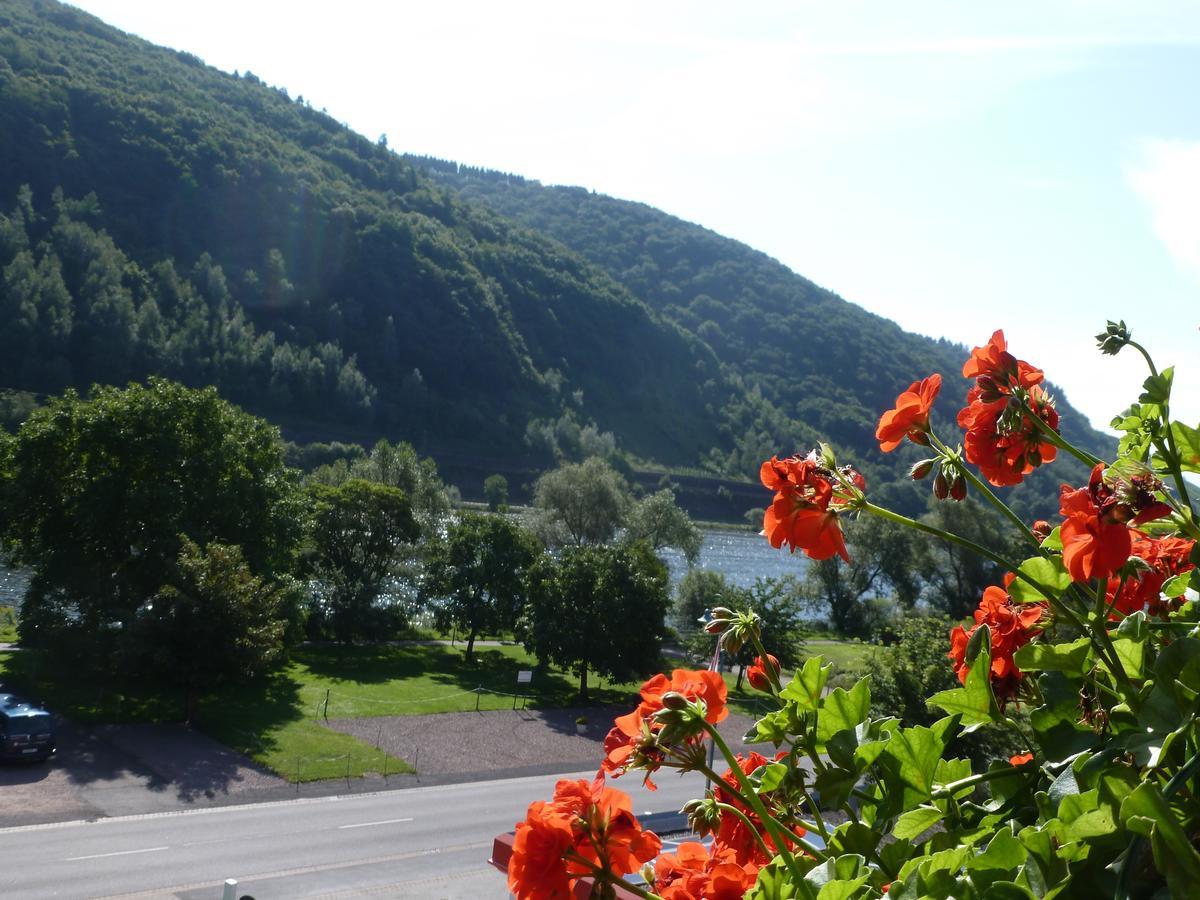 Wein- Und Gaestehaus St. Aldegundishof Sankt Aldegund Kültér fotó