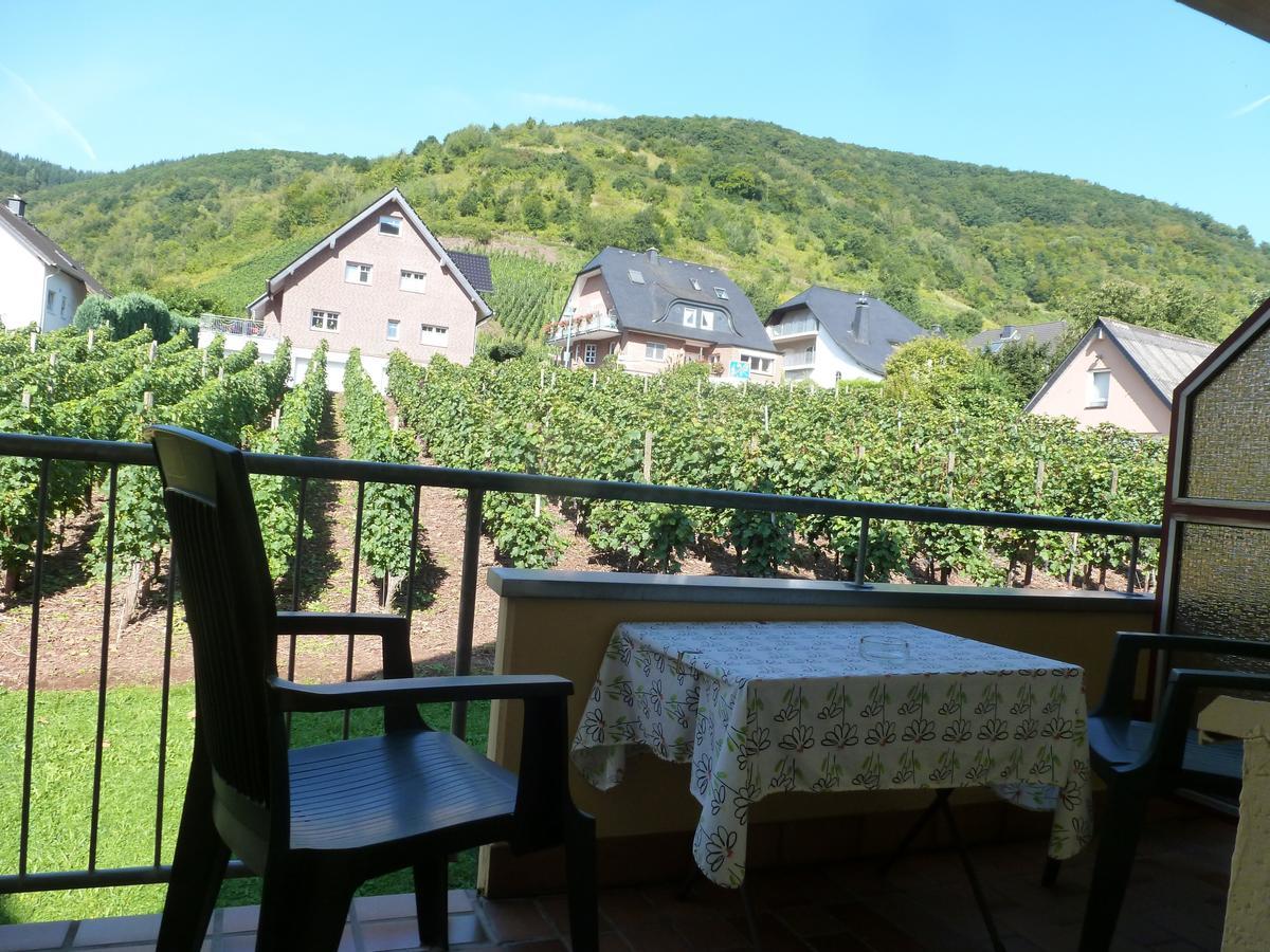 Wein- Und Gaestehaus St. Aldegundishof Sankt Aldegund Kültér fotó